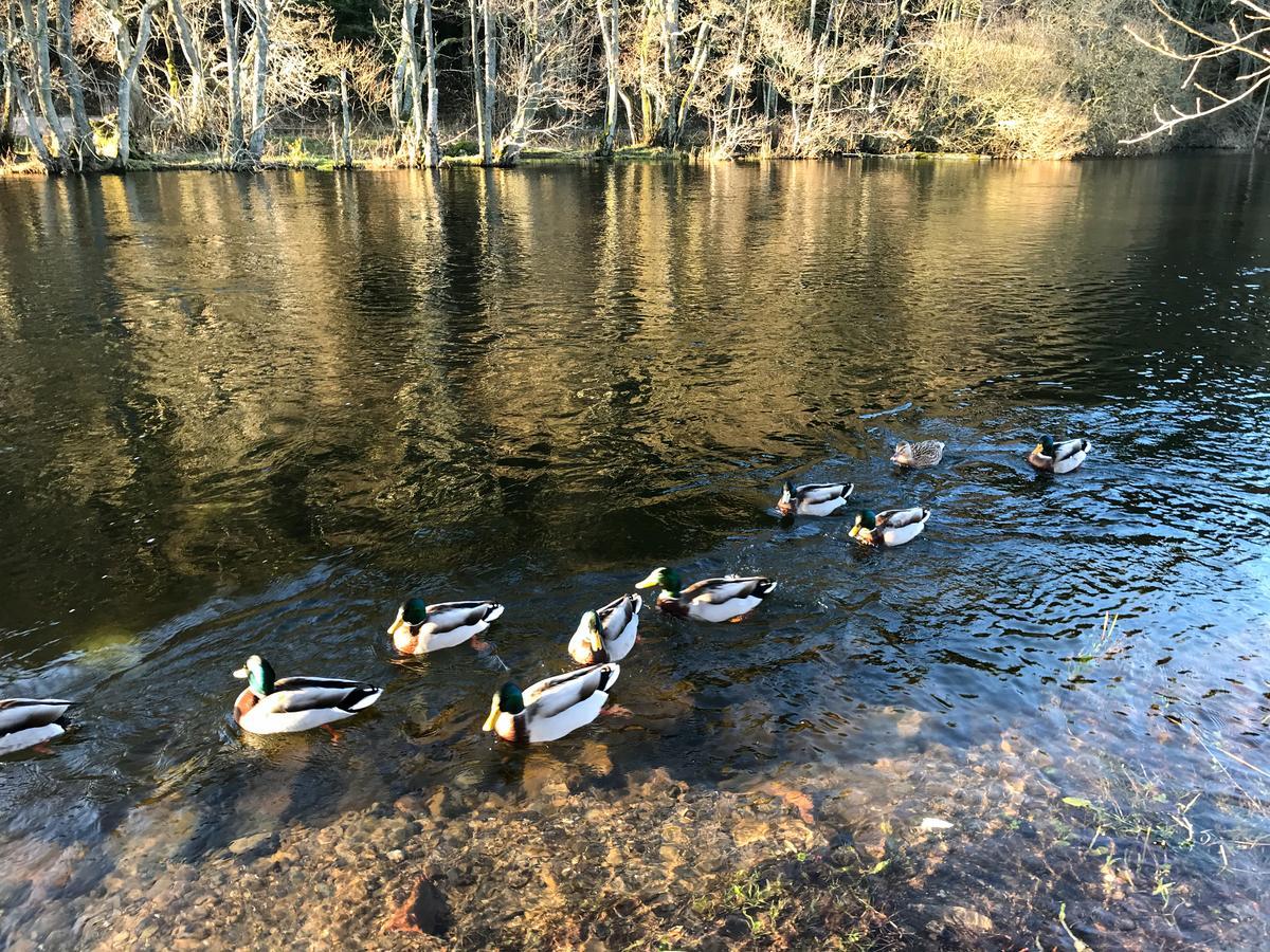 Waterfoot Park Hotel Pooley Bridge Eksteriør billede